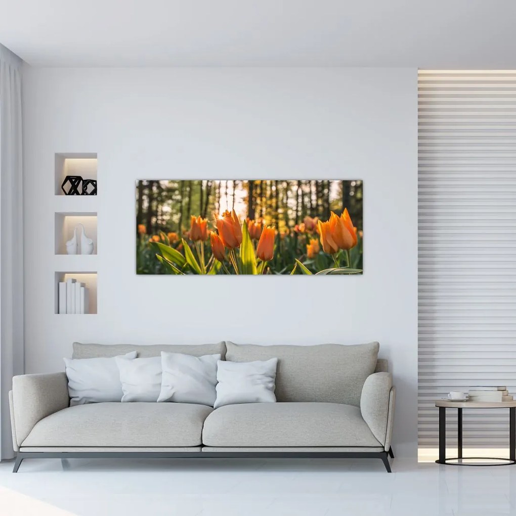 Obraz - oranžové tulipány (120x50 cm)