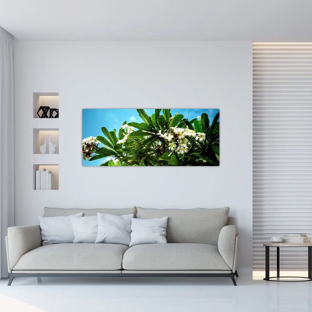 Obraz - Plumeria (120x50 cm)