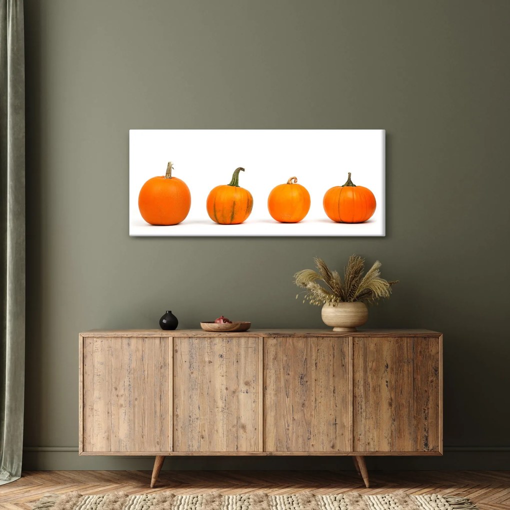 Obraz dyne (120x50 cm)