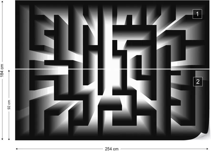 Fototapeta GLIX - 3D Geometric Maze + lepidlo ZADARMO Vliesová tapeta  - 254x184 cm
