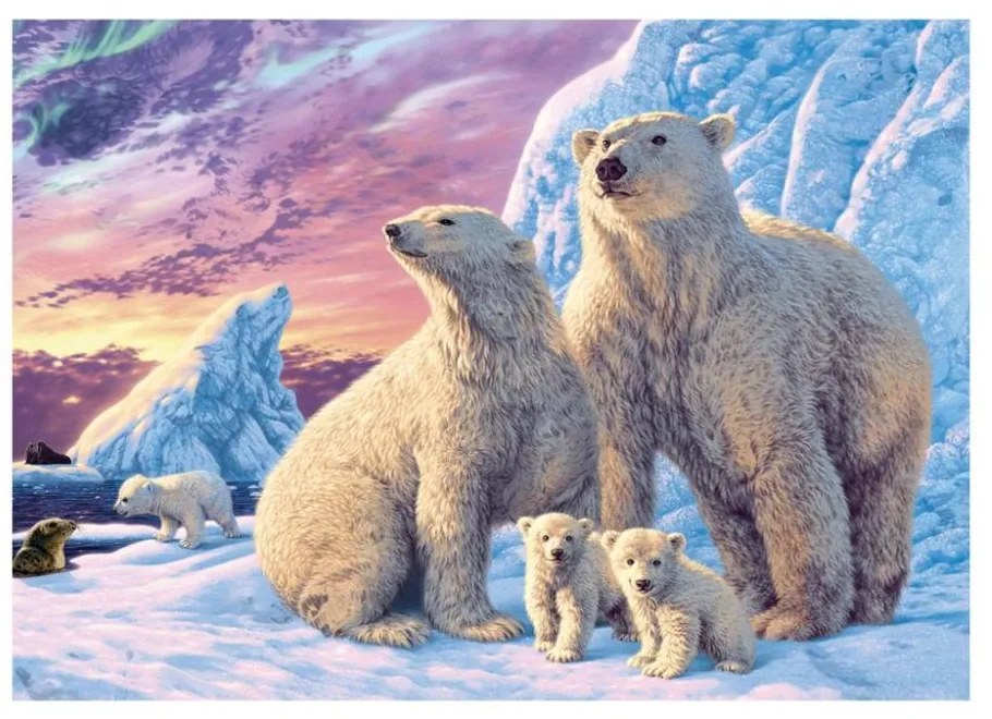 Dino Ľadové medvede 1000 tajná zbierka puzzle