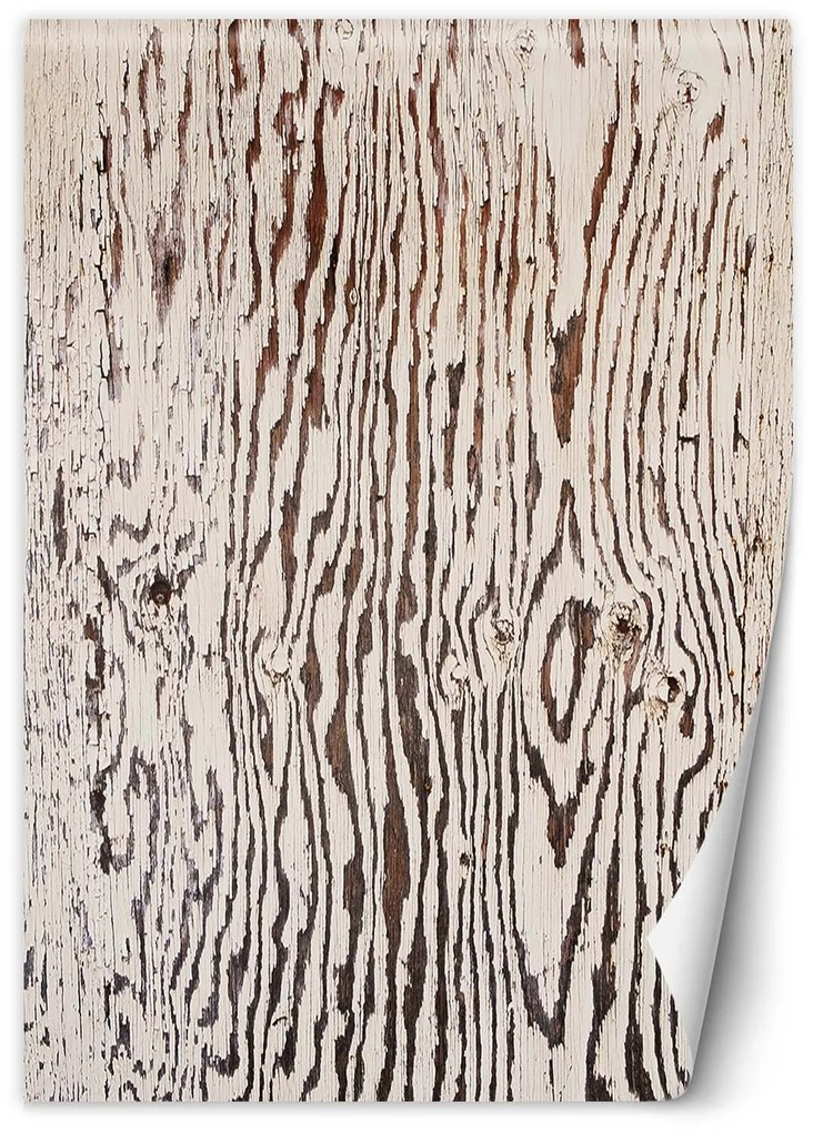 Gario Fototapeta Drevo zblízka Materiál: Vliesová, Rozmery: 200 x 280 cm