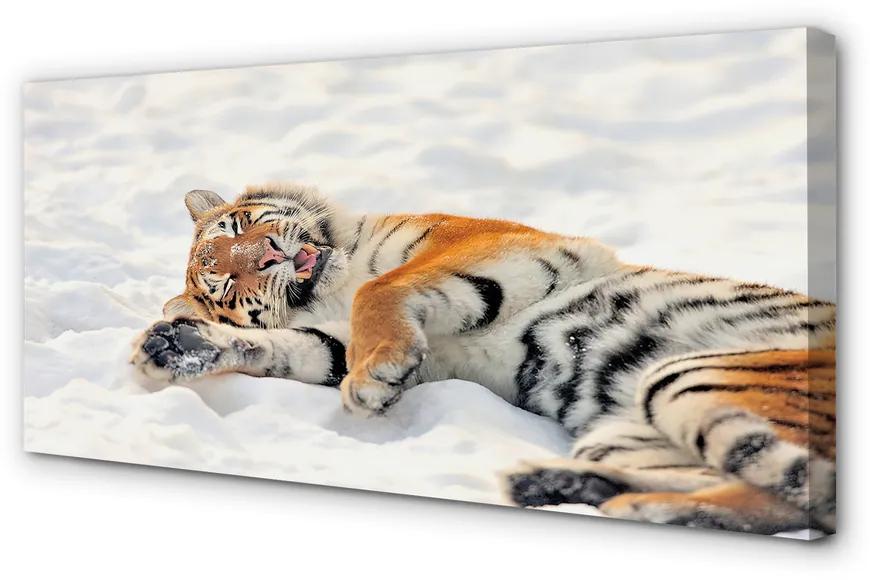 Obraz na plátne Tiger winter 100x50 cm