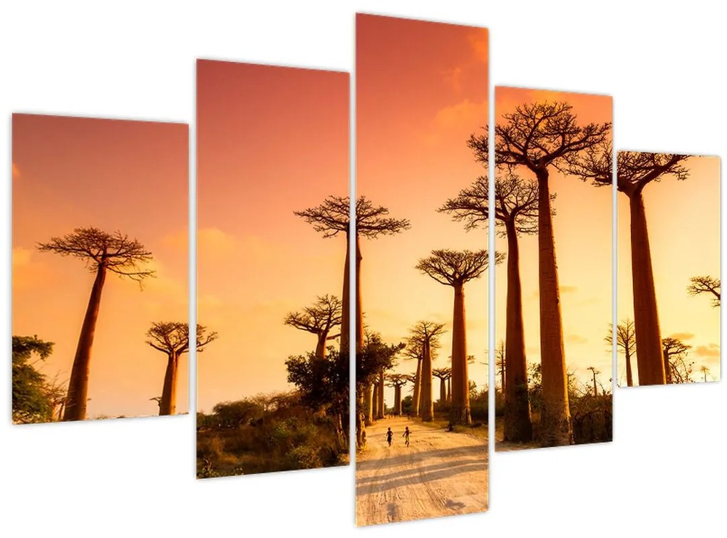 Obraz - Západ slnka v uličke Baobab (150x105 cm)