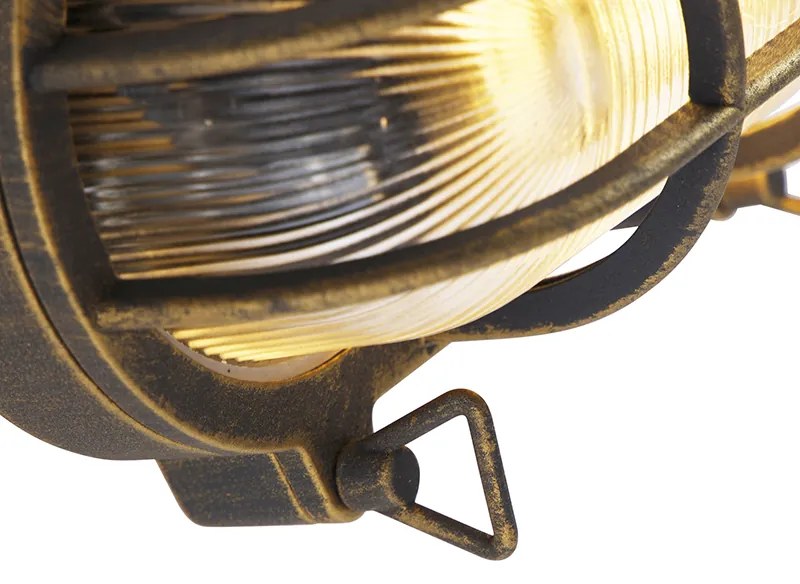 Nástenná a stropná lampa zlatá/mosadzná oválna IP44 - Noutica