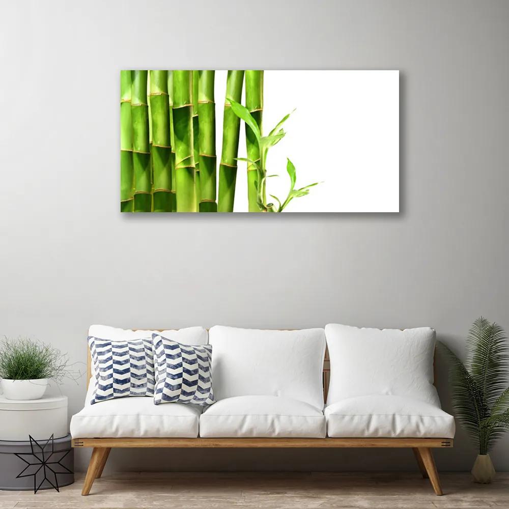 Obraz na plátne Bambus rastlina 140x70 cm