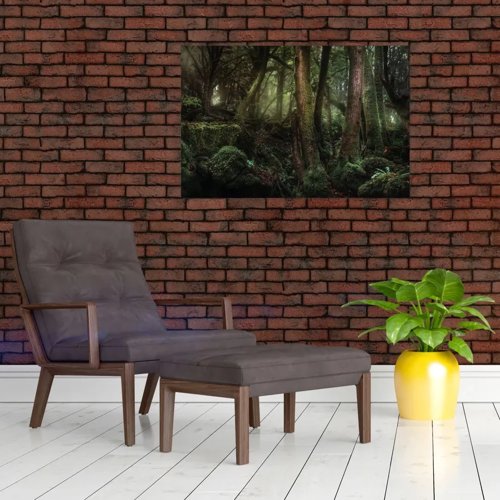 Obraz - Tajomný les (90x60 cm)