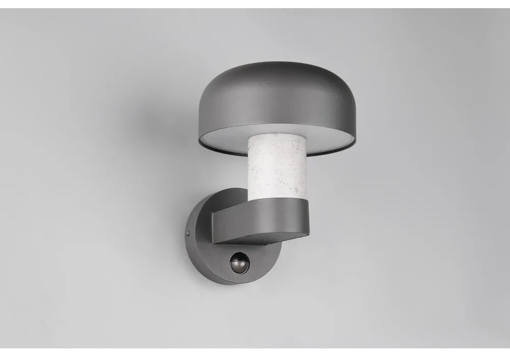 Nástenné vonkajšie svietidlo (výška 24,5 cm) Fraser – Trio