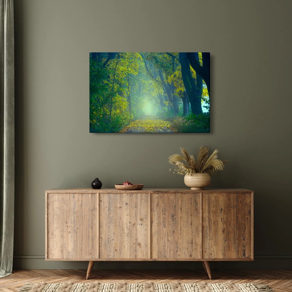 Obraz cesty lemovanej stromami (90x60 cm)