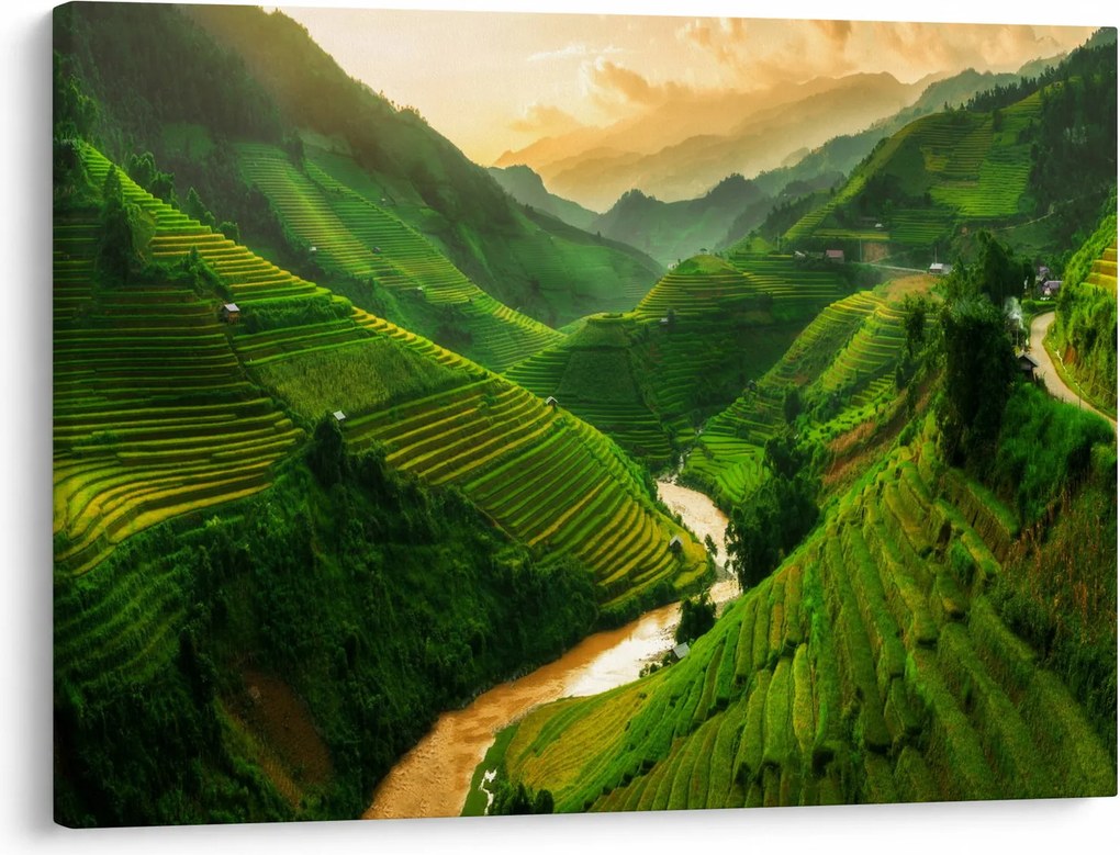 Obraz - Ryžové terasy Mu Cang Chai (70x50 cm)