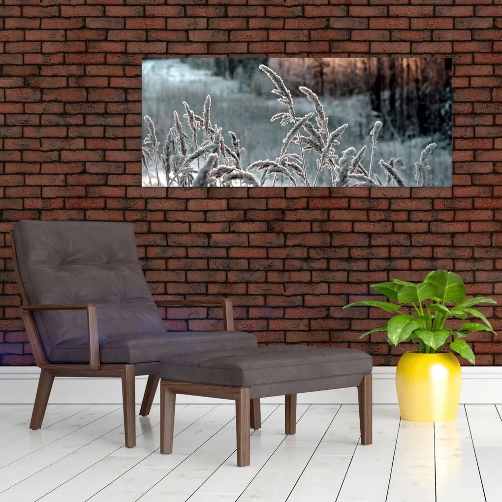 Obraz - Zamrznutá lúka (120x50 cm)