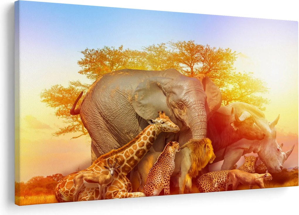 Obraz afrických zvieratiek (90x60 cm)