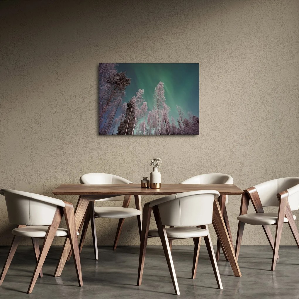 Obraz polárna žiara nad zamrznutými stromami (70x50 cm)