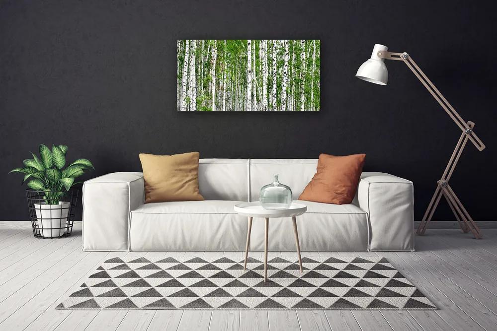 Obraz na plátne Breza les stromy príroda 120x60 cm