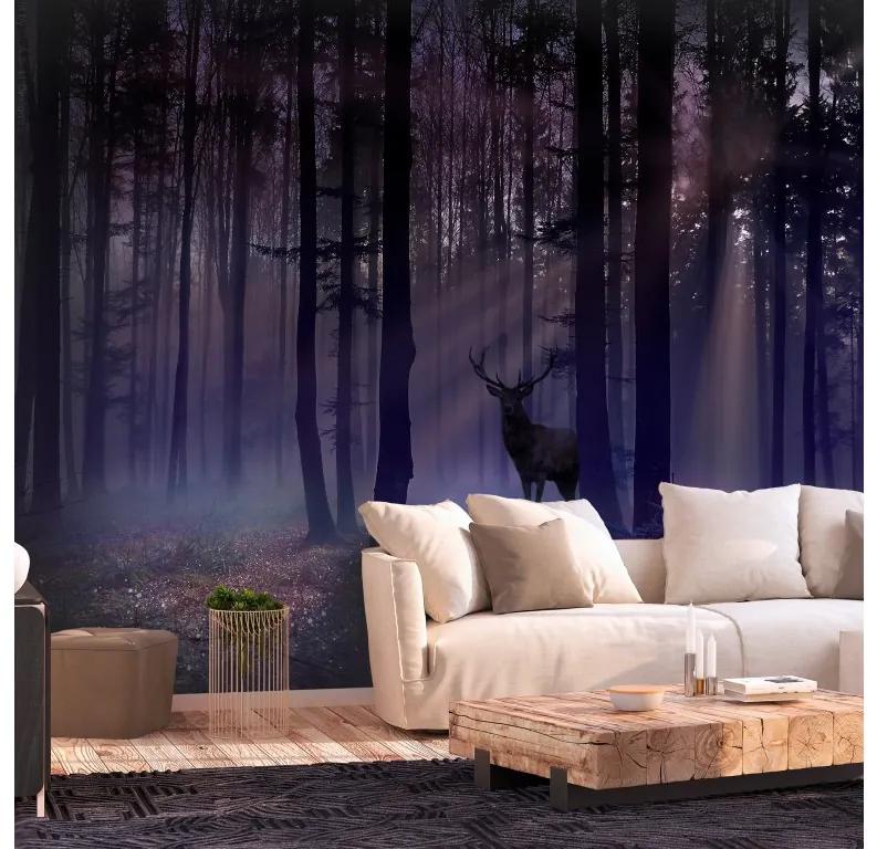 Artgeist Fototapeta - Mystical Forest - Second Variant Veľkosť: 150x105, Verzia: Premium