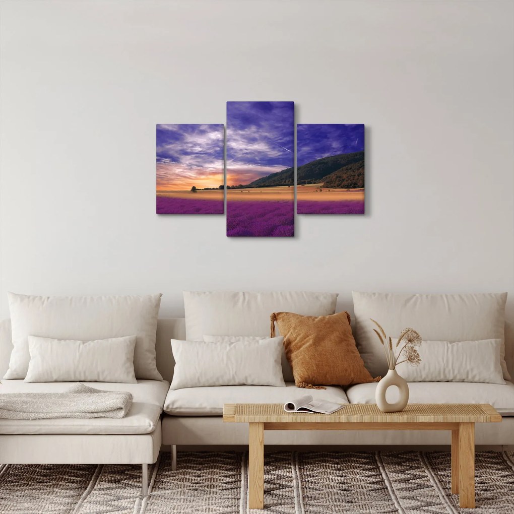 Obraz levanduľovej lúky (90x60 cm)