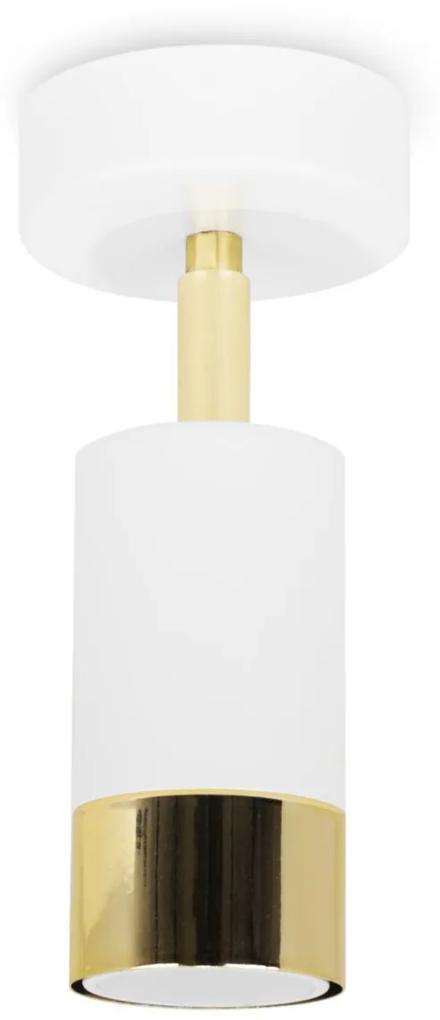Stropné svietidlo HUGO, 1x biele/zlaté kovové tienidlo, (možnosť polohovania)