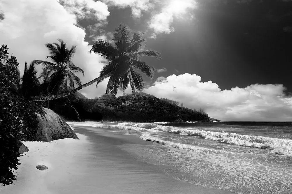 Samolepiaca fototapeta pláž na ostrove Seychely v čiernobielom - 375x250