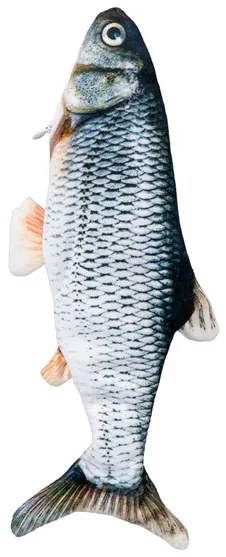 zoofari® Hračka pre mačky (hračka pre mačku v tvare ryby, 2 kusy) (100343229)