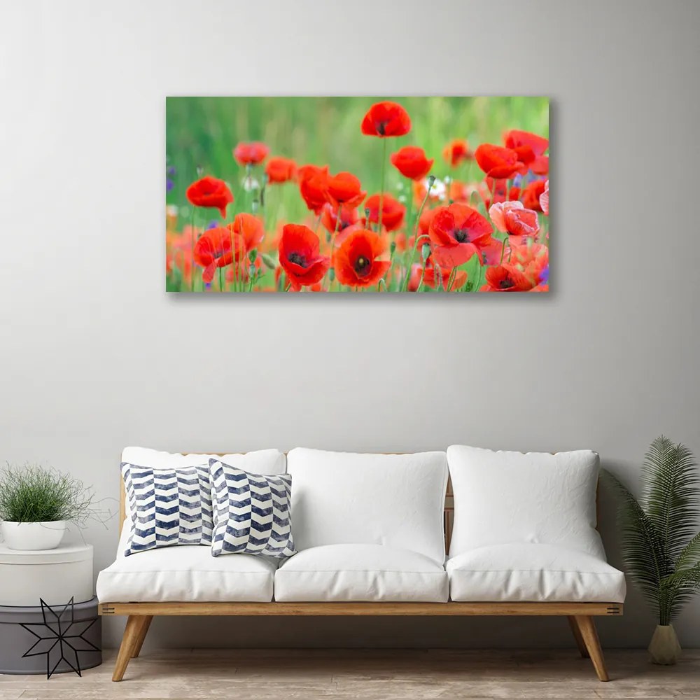 Obraz Canvas Maky rastlina príroda 125x50 cm