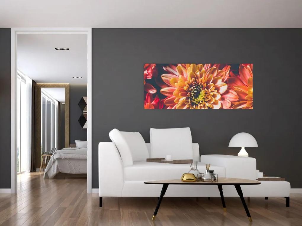 Obraz - Chryzantémy (120x50 cm)