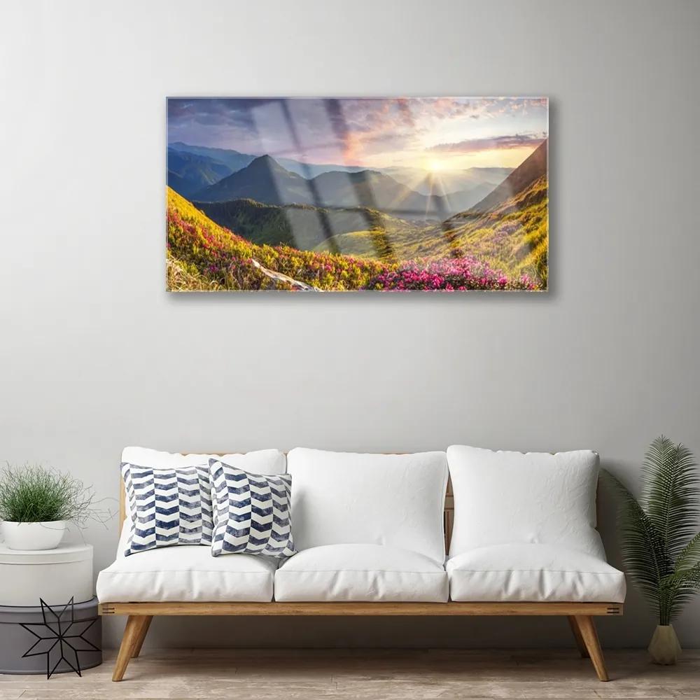 Obraz plexi Hora lúka slnko krajina 100x50 cm