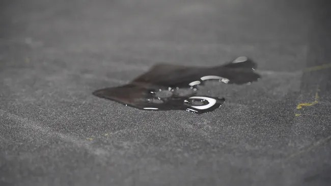 PVC podlaha Maxima Plus Venato S98 sivá