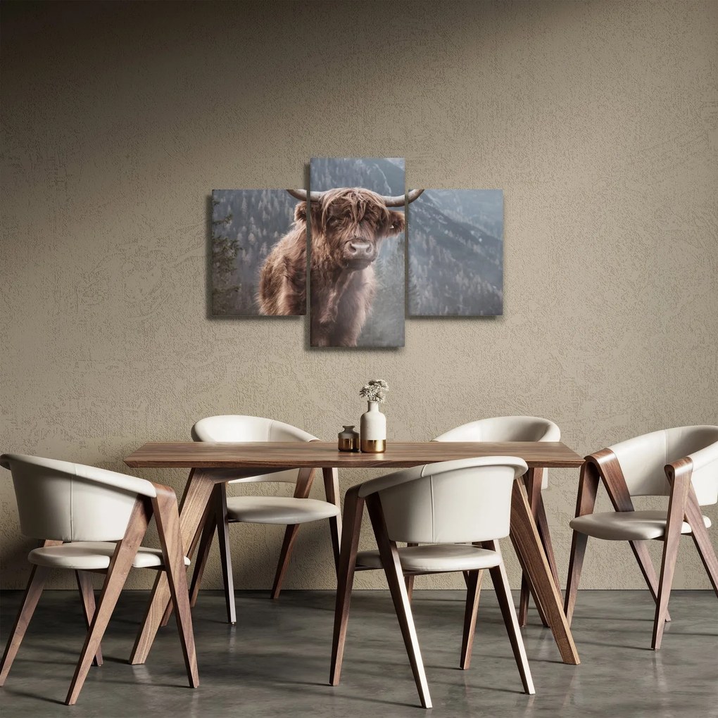 Obraz - Highlander krava (90x60 cm)