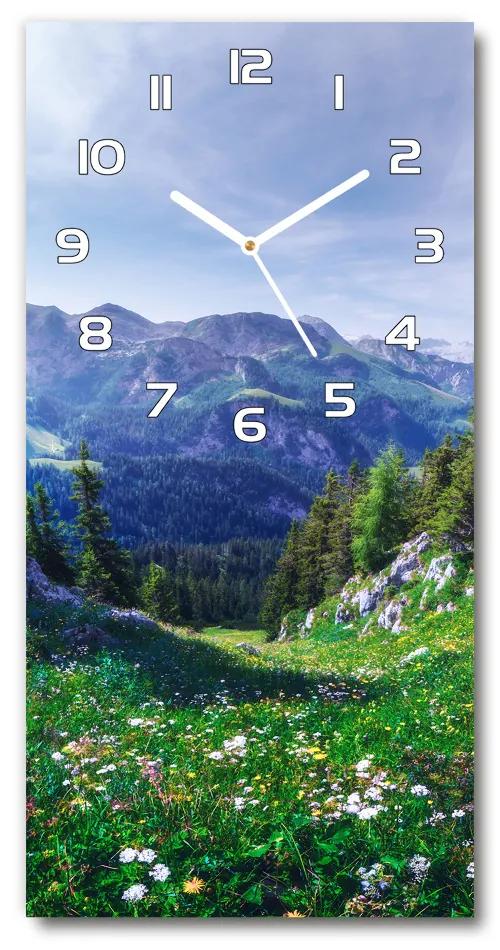 Moderné hodiny nástenné Alpy pl_zsp_30x60_f_122073604