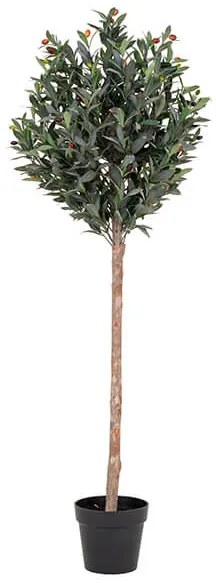 Olive umelá rastlina 150 cm