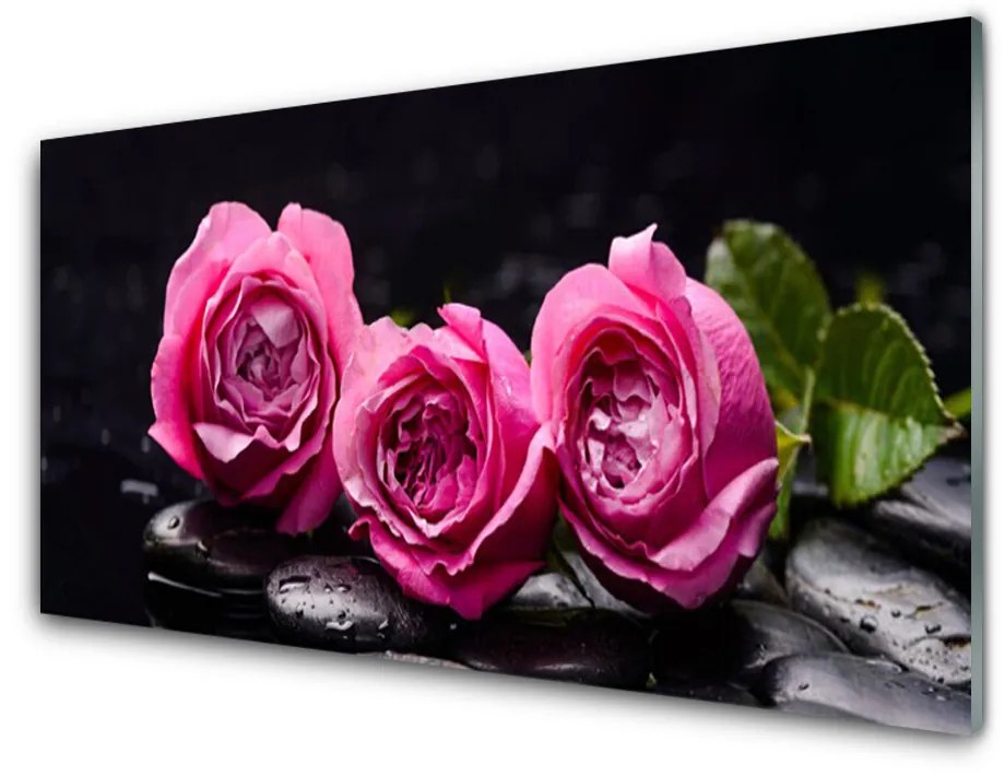 Skleneny obraz Ruže kamene zen kúpele príroda 125x50 cm