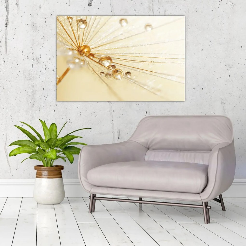 Obraz - Makro fotografie púpavy (90x60 cm)