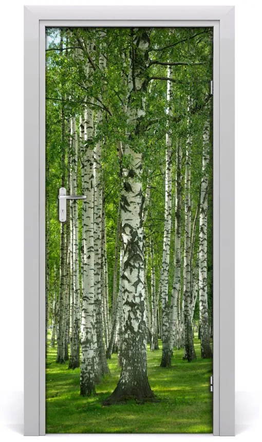 Fototapeta na dvere Břízová les 75x205 cm