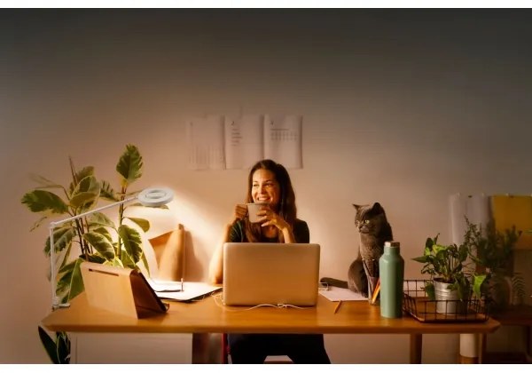 Ledvance - LED Stmievateľná lampa s klipom SUN@HOME LED/15W/230V CRI 95 Wi-Fi