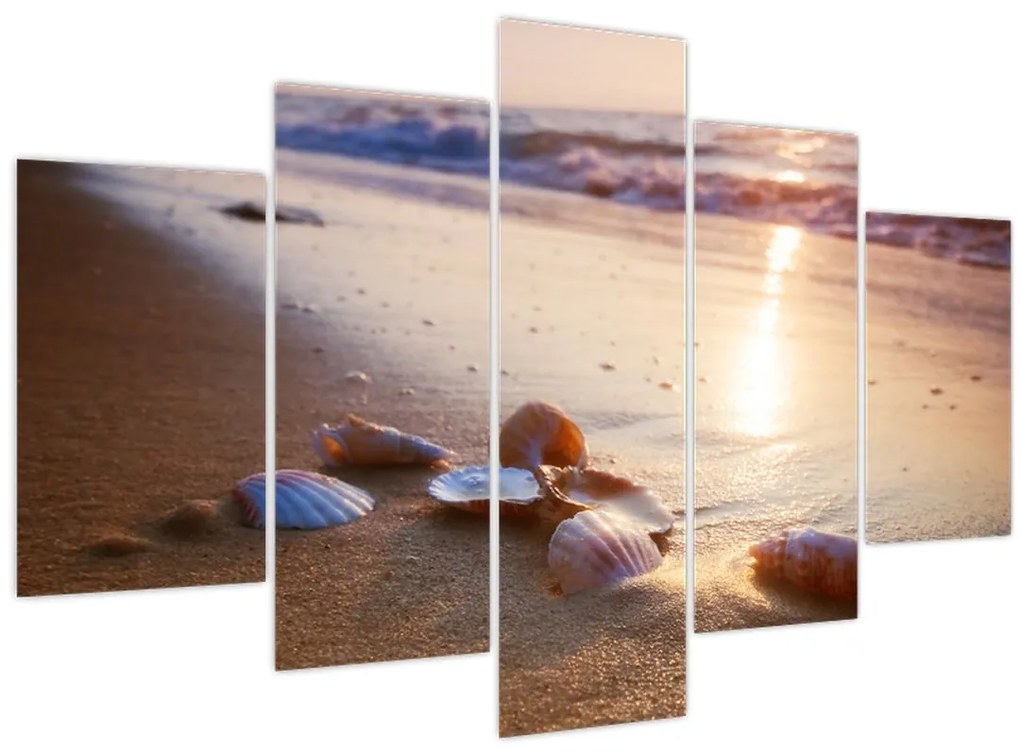 Obraz - Mušle (150x105 cm)