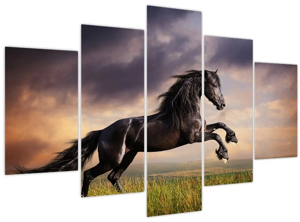Obraz - Kone (150x105 cm)