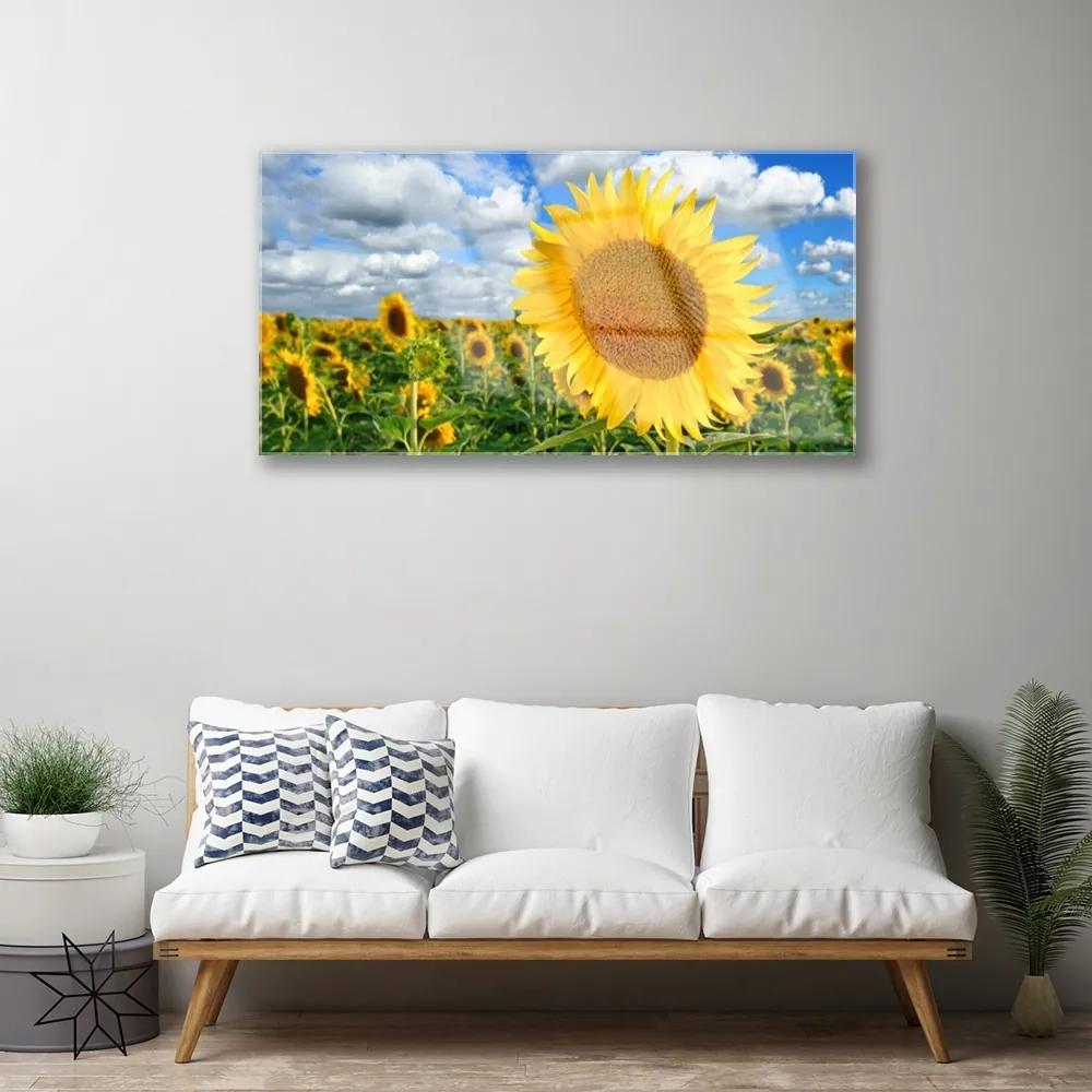 Skleneny obraz Slnečnica kvet rastlina 100x50 cm