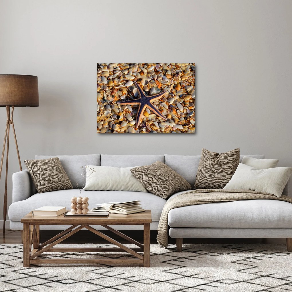 Obraz morskej hviezdice (70x50 cm)