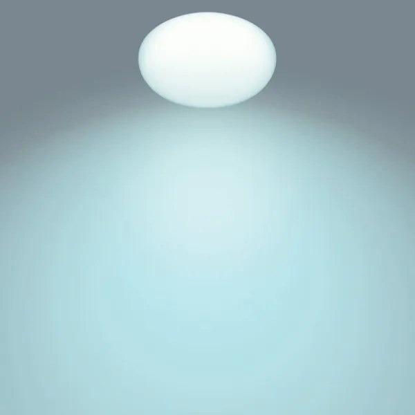 Philips - LED Stmievateľné stropné svietidlo TOBA 1xLED/23W/230V + DO