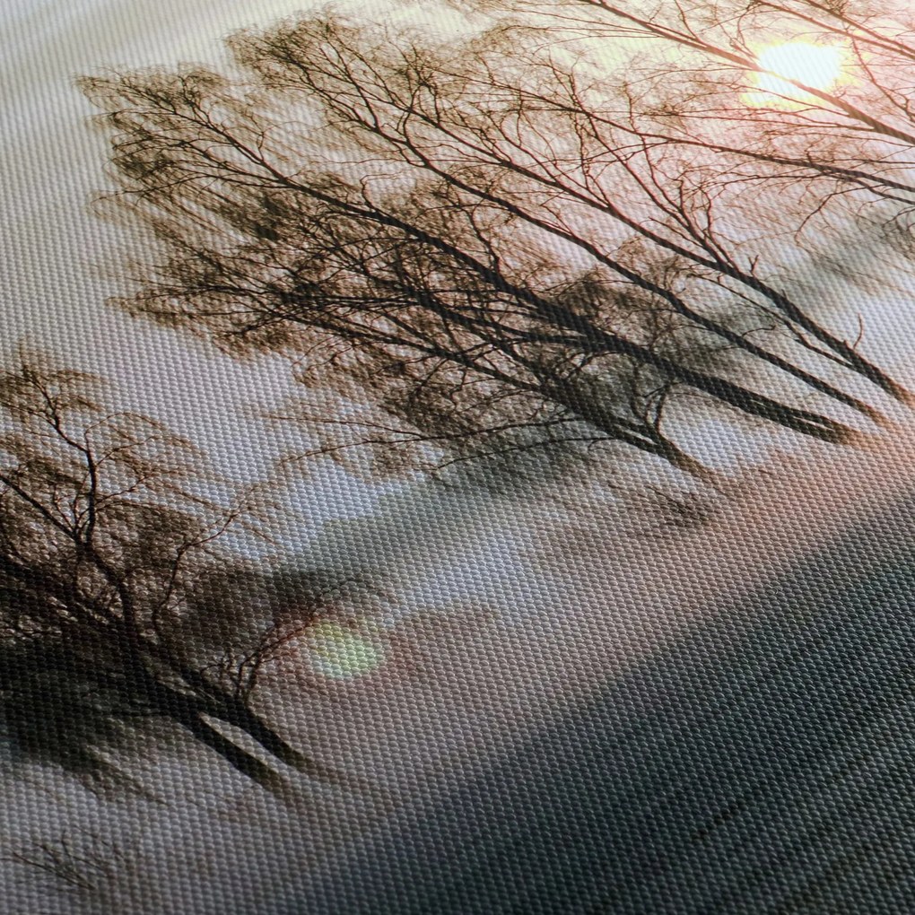 Obraz - Ranná sychravosť (90x60 cm)