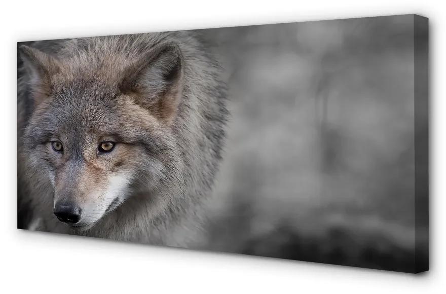 Obraz na plátne vlk 140x70 cm