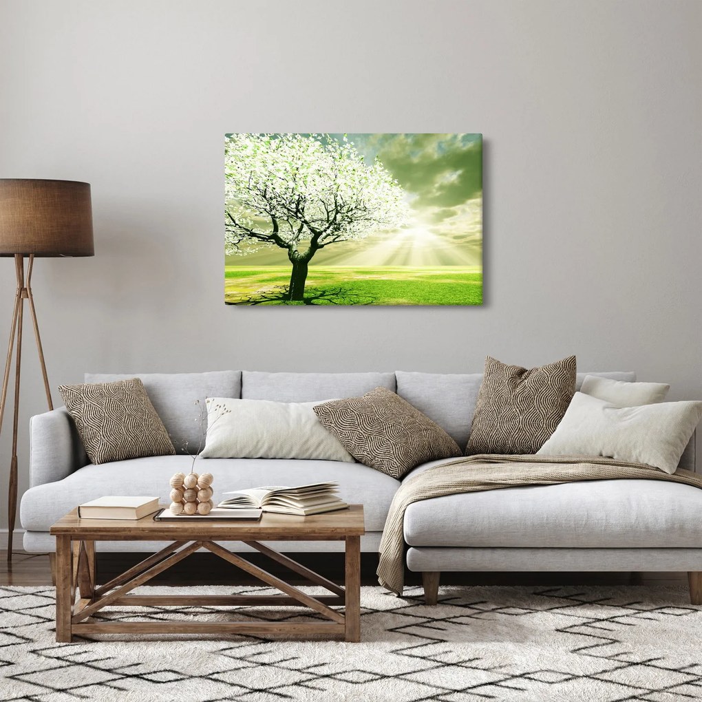 Obraz stromu na lúke (90x60 cm)