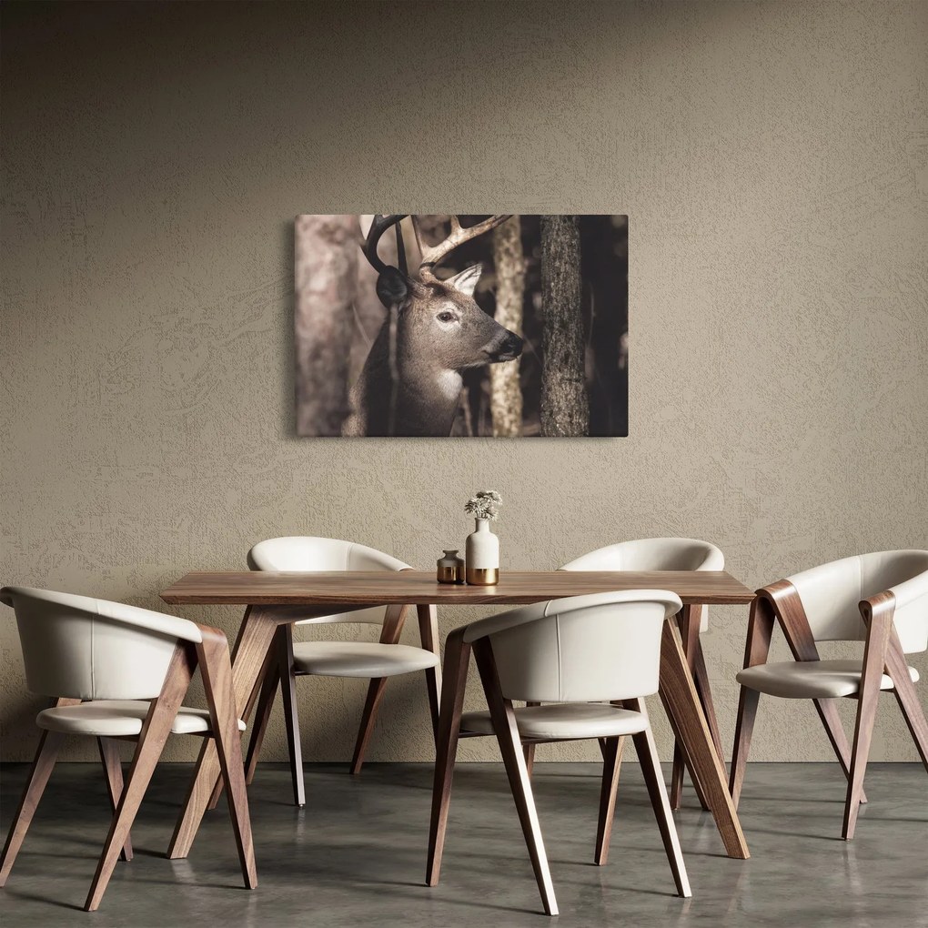 Obraz - Jeleň v lese (90x60 cm)