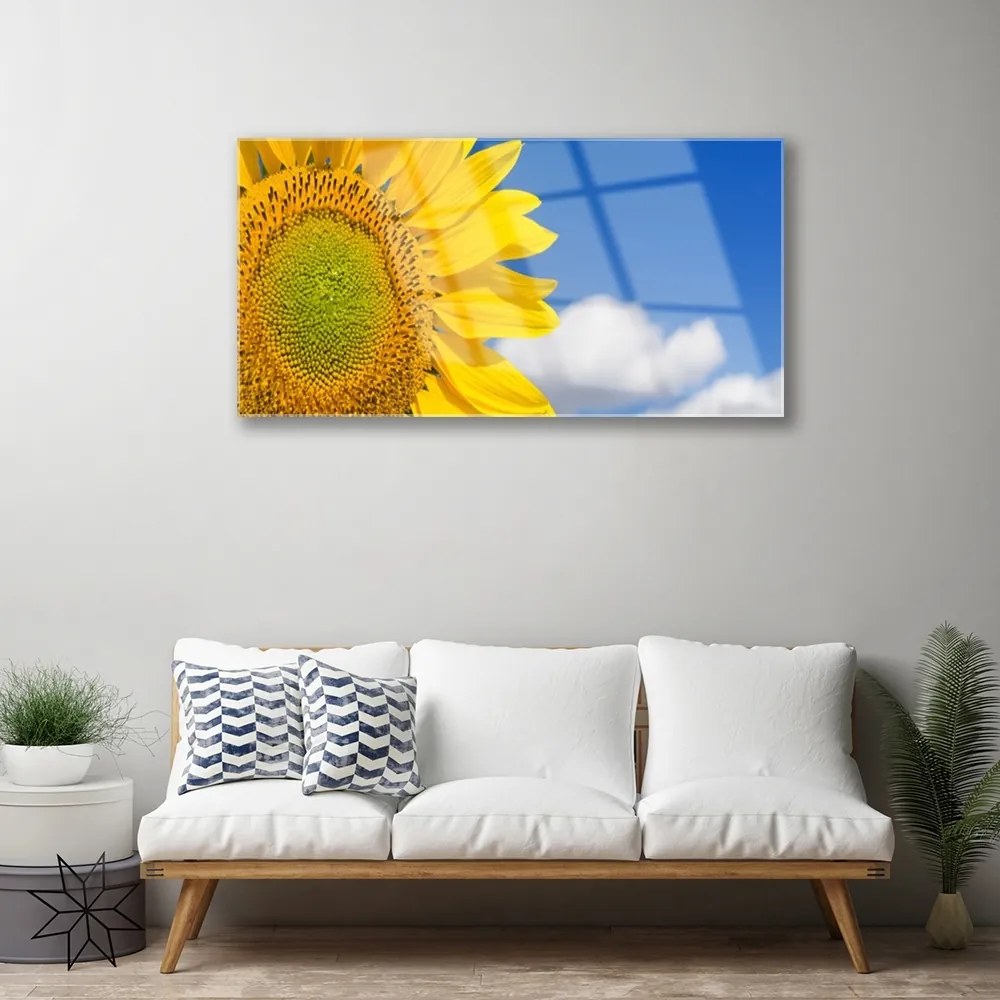Obraz na skle Slnečnica mraky 125x50 cm