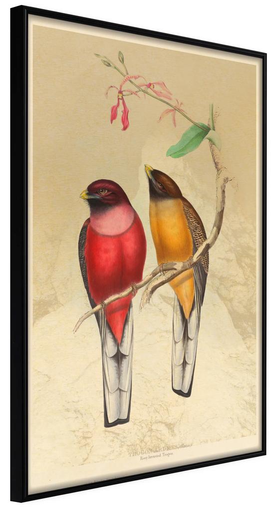 Artgeist Plagát - Birds Twig [Poster] Veľkosť: 20x30, Verzia: Zlatý rám s passe-partout