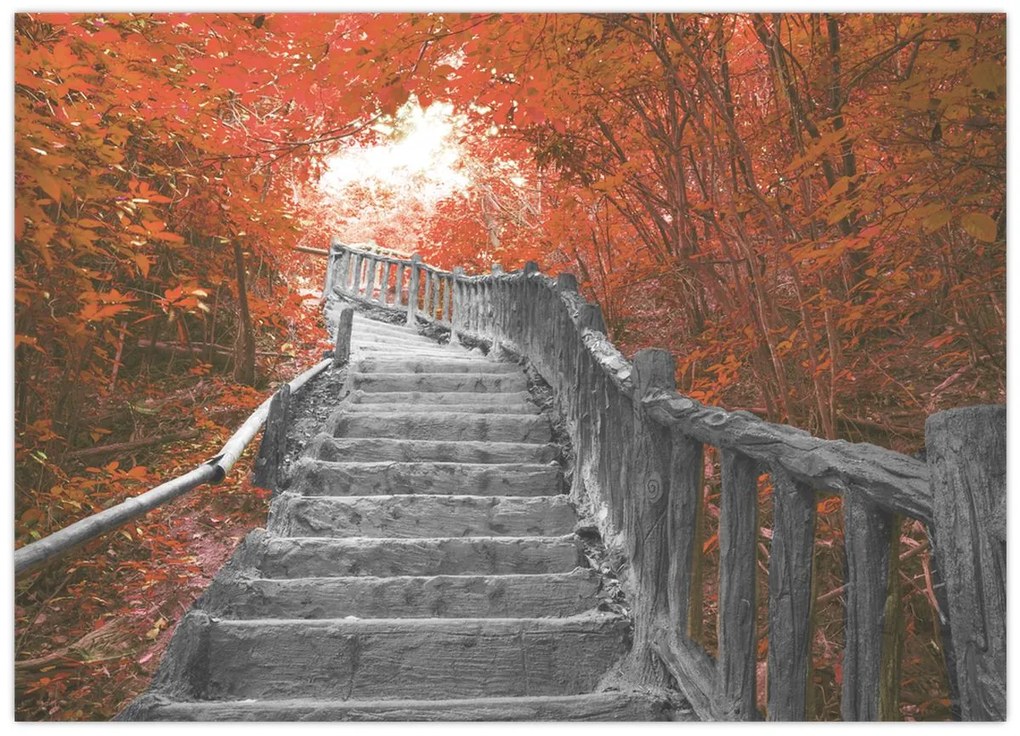 Sklenený obraz - Schody v prírode, oranžová (70x50 cm)