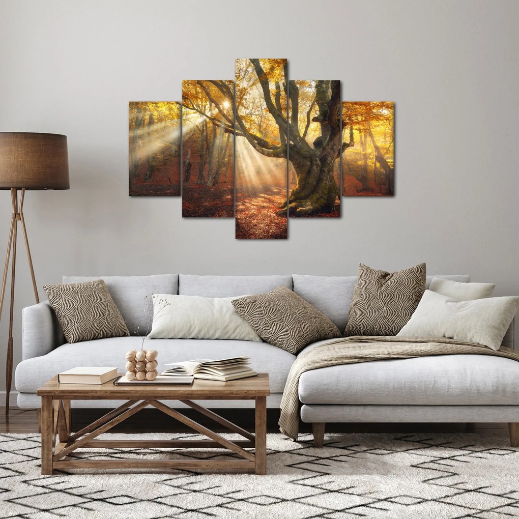 Obraz - Jesenný svit (150x105 cm)