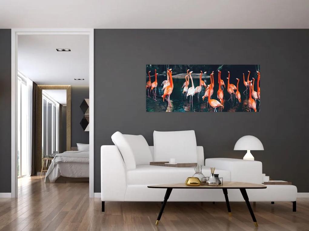 Obraz stádo plameniakov (120x50 cm)