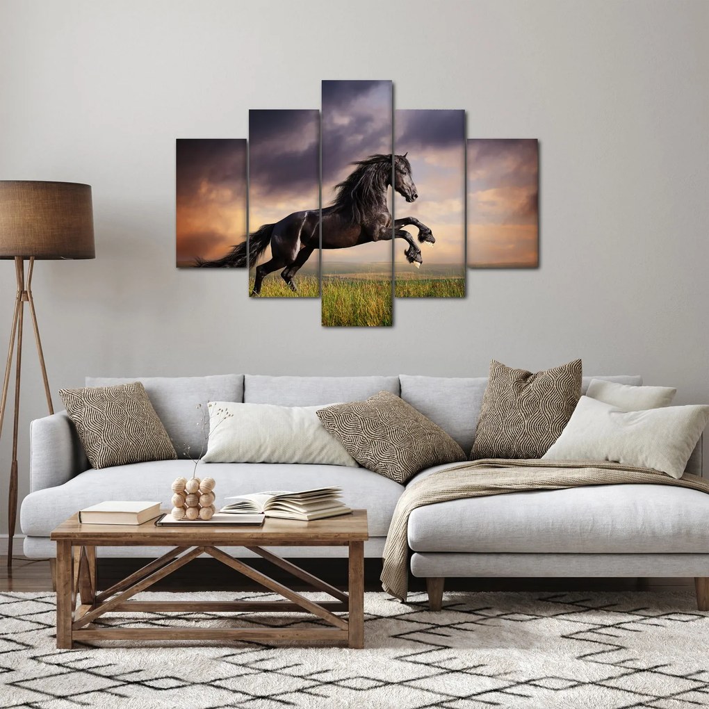 Obraz - Kone (150x105 cm)