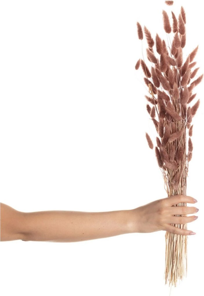 Kytica fúkačiek 60cm dusty pink